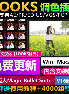 Looks/MOJO魔法调色磨皮插件2025 MagicBullet支持AE/PR/EDIUS/M1