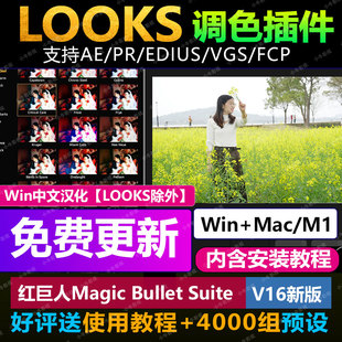 Looks/MOJO魔法调色磨皮插件2025 MagicBullet支持AE/PR/EDIUS/M1