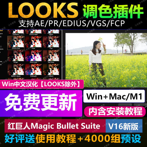 Looks/MOJO魔法调色磨皮插件 MagicBullet支持AE/PR/EDIUS/M1