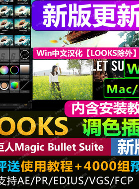 2025 LOOKS  MOJO调色插件Magic Bullet Suite支AE/PR/EDIUS/FCPX