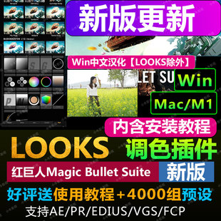 2025 LOOKS MOJO调色插件Magic Bullet Suite支AE/PR/EDIUS/FCPX