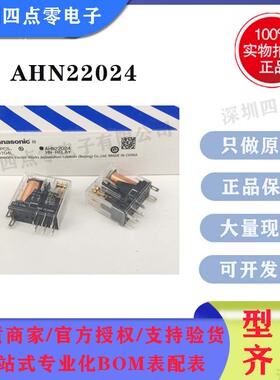 四点零全新原装正品松下/Panasonic功率继电器AHN22024N AHN22024