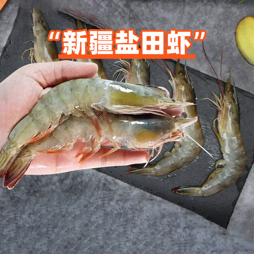 新疆本地盐田大虾30-40