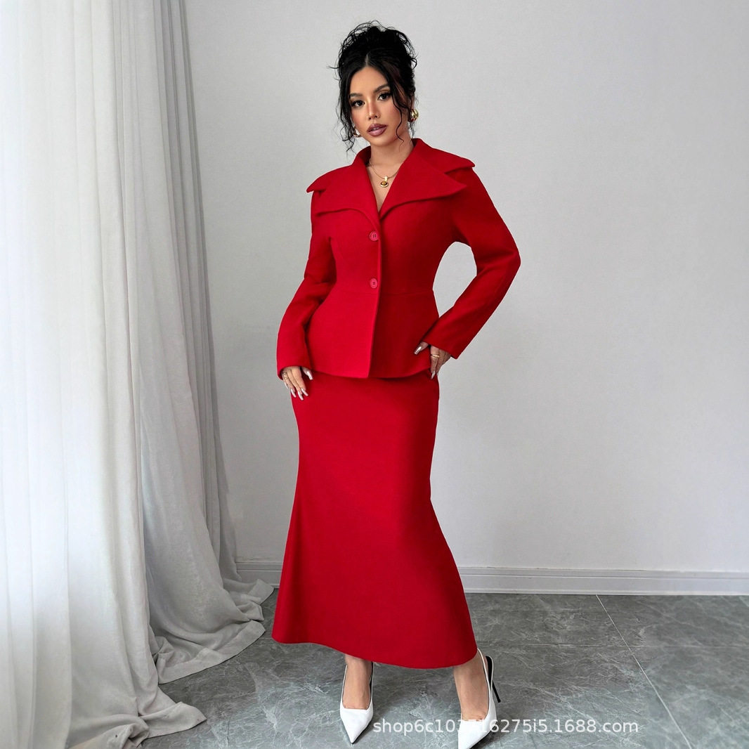 Professional skirts women's long sleeved dresses女职业长袖裙