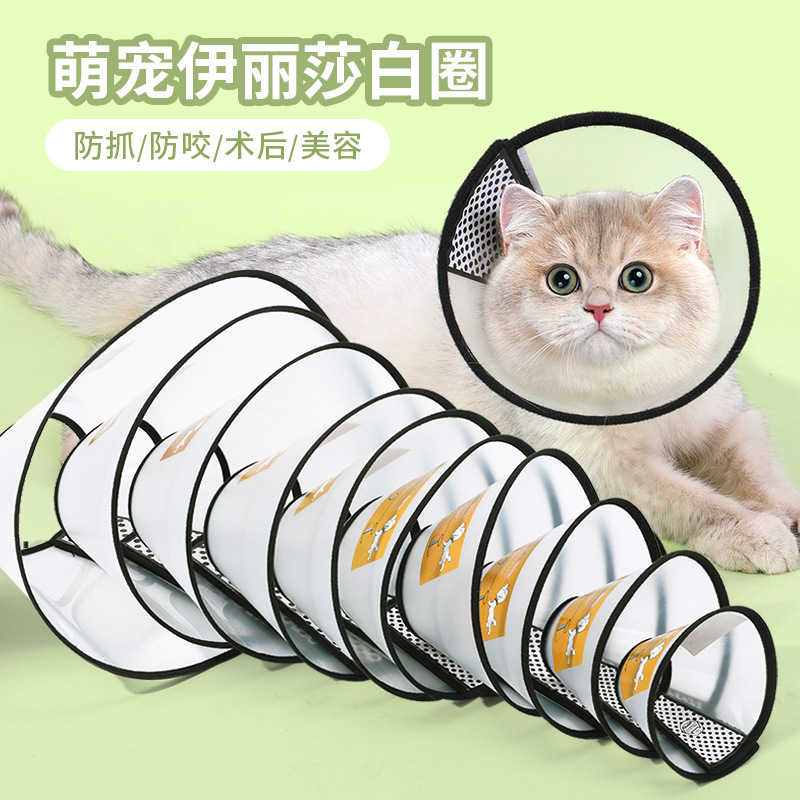 宠物猫项圈防咬圈防抓挠脖套
