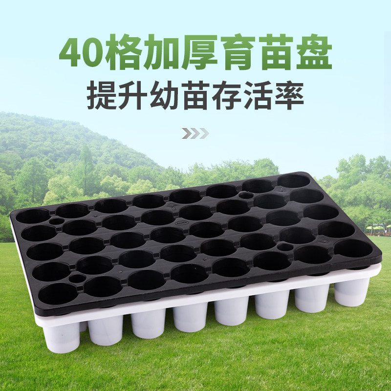 40孔穴盘种植盘林木育苗盘苗木多肉蔬菜塑料秧盘育苗盆托盘培育盆