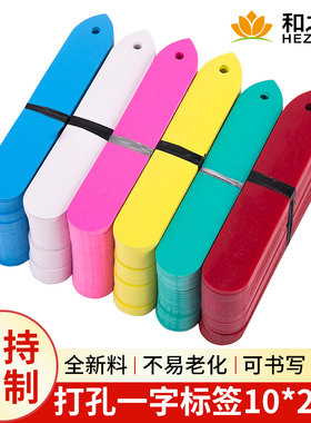新款一字打孔塑料园艺标签花卉标签标牌绿植多肉标签兰花标签10x2