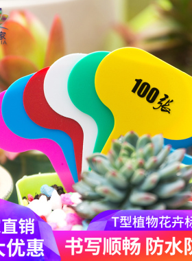 彩色多肉植物塑料T型花盆标签5X7cm园艺标签名称插地标签多肉工具