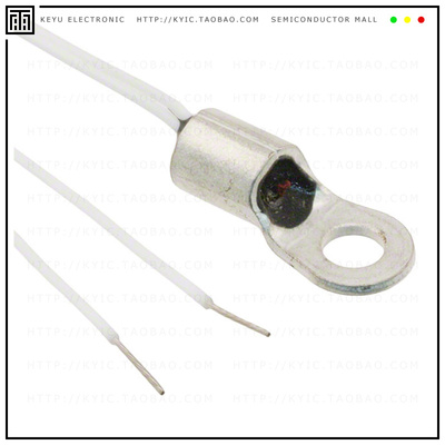 USP10976【THERM NTC 10KOHM 3892K RING LUG】