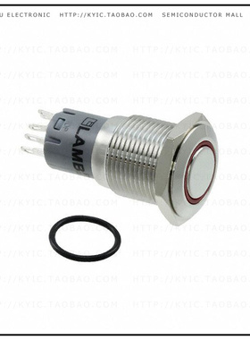 PV3F2H0SS-315【SWITCH PUSHBUTTON DPDT 2A 48V】