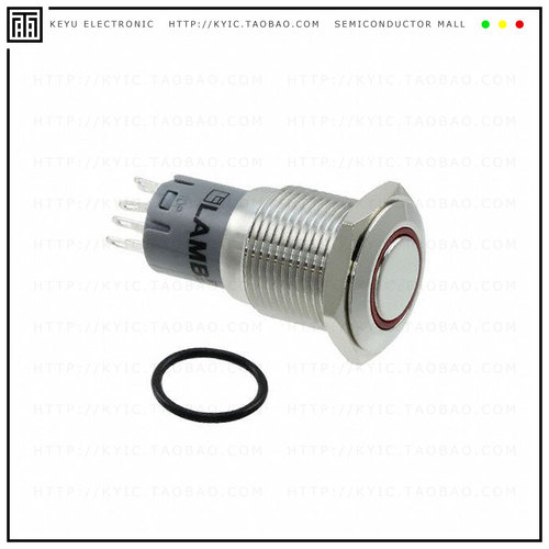 PV3F2H0SS-315【SWITCH PUSHBUTTON DPDT 2A 48V】