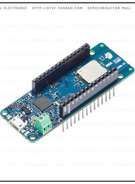 ABX00017【MKR WAN 1300】