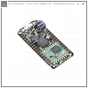 3079【ADAFRUIT FEATHER 32U4 RFM96W LOR】