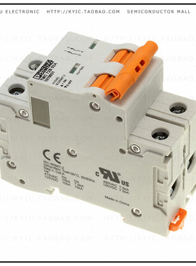 1019931【CIRCUIT BREAKER 2A】