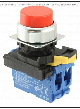 A22NN-RPM-NRA-G101-NN【SWITCH PUSH DPST-NO 10A 120V】