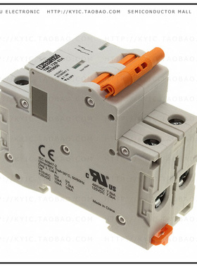 1019950【CIRCUIT BRAKER 63A】