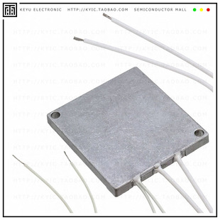 OHM 100 EXTERNAL REGEN DV0P4281 RES 25W