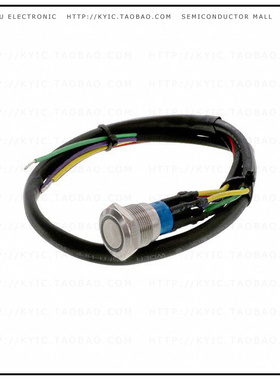 AV1920RG12T5Q04【SWITCH PUSH DPST-NO 3A 250V】