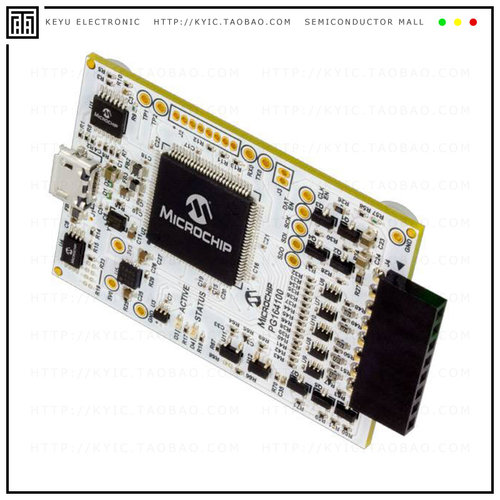 PG164100【MPLAB SNAP DEBUGGER】