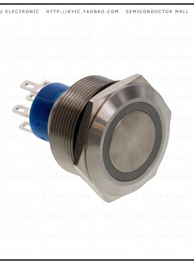 AV2521E312Q04【SWITCH PUSHBUTTON DPST 3A 250V】