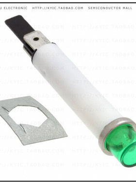 2152QA5【LAMP NEON INCAND GREEN PNL MNT】