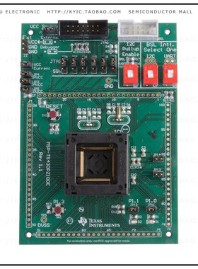 MSP-TS430PZ100E【EVAIL MOD】