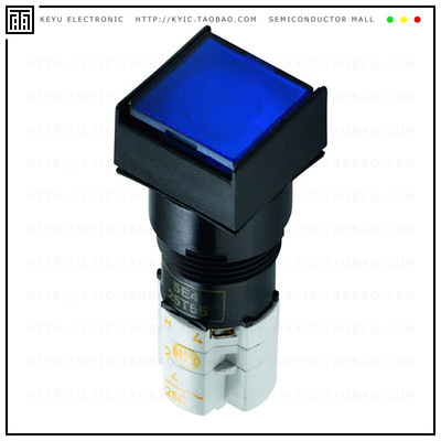 1.15108.3760000【SWITCH PUSHBUTTON DPST 4A 250V】