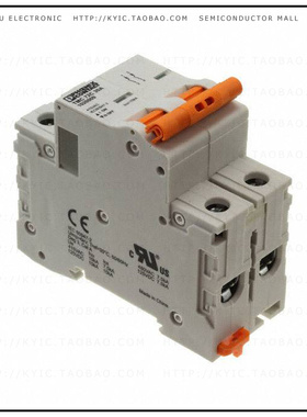 1020009【CIRCUIT BRAKER 30A】