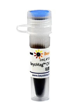 BeyoMag™ ChIP-Grade Protein A琼脂糖磁珠  P2085 碧云天