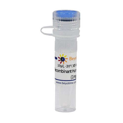 Recombinant Human Rac1 (Flag-Tag)  碧云天 P2461