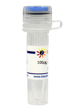 pUC18   碧云天生物 D2303