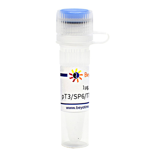pT3/SP6/T7-RNA-Template (RNA体外转录质粒) D2310 碧云天