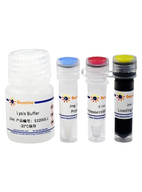 药物亲和反应靶蛋白稳定性检测试剂盒(DARTS Assay Kit)  S3206