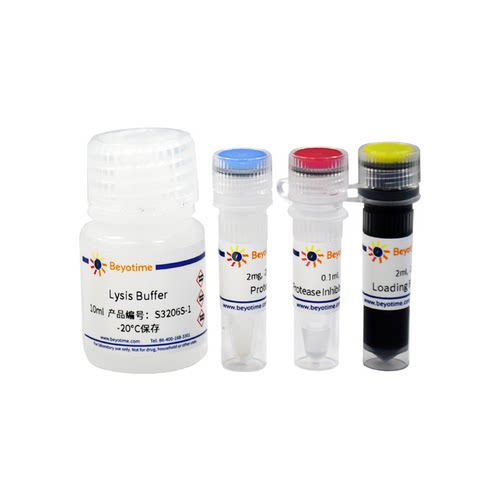 药物亲和反应靶蛋白稳定性检测试剂盒(DARTS Assay Kit)  S3206