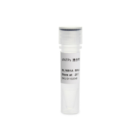 BL1651A dNTPs Mix溶液(10mM each) BL1651B