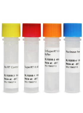 BL1020B SuperRT III 一管化反转录试剂盒（含gDNA酶）