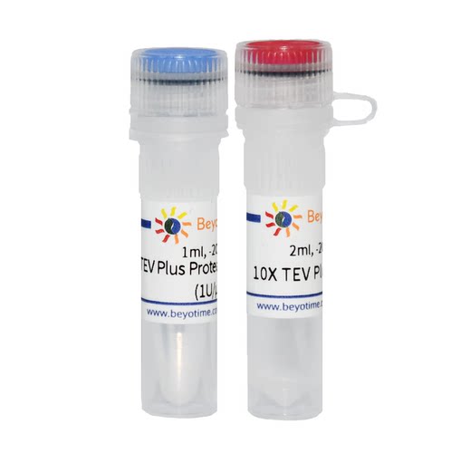 TEV Plus Protease (His-tag)碧云天生物 P2305S  P2305M