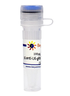 pLenti-U6-gRNA-Cas9-P2A-EGFP-Bla 碧云天 D8307