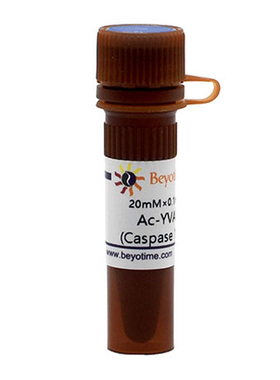 Ac-YVAD-pNA (Caspase 1显色底物)  P9701 碧云天生物