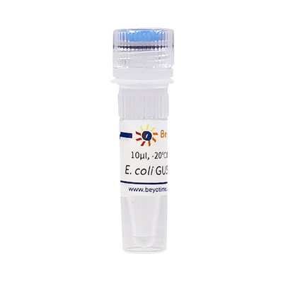 Recombinant E. coli β-Glucuronidase (＞20U/μg)碧云天P2388