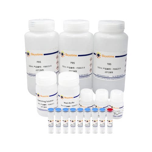 细胞表面蛋白生物素化和分离试剂盒(Agarose Resin)碧云天 P0661S