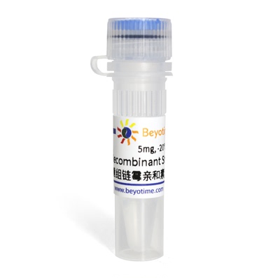 Recombinant Streptavidin (重组链霉亲和素) P5085碧云天