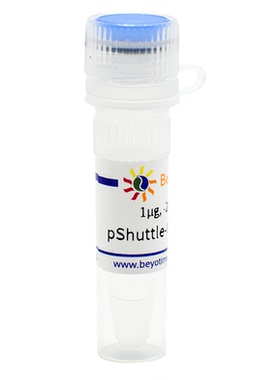 pShuttle-CMV-N-His(腺病毒质粒) 碧云天 D8135