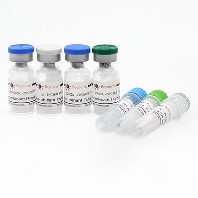 Recombinant Human IL-1β 碧云天 P5106