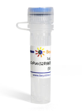 pCoPuro (S2果蝇细胞稳定细胞株筛选质粒) 碧云天 D4701