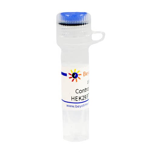 Control Knockout HEK293T RIPA Lysate 碧云天 L00025
