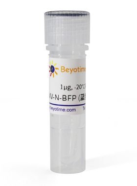 pCMV-N-BFP (蓝色荧光蛋白) 碧云天 D2701
