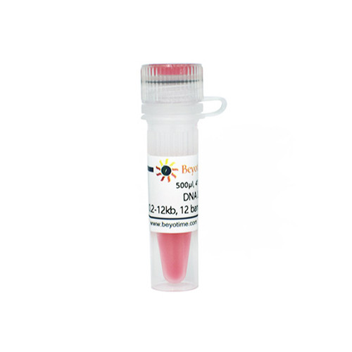 DNA Ladder (0.2-12kb, 12 bands, with BeyoRed)  碧云天 D0111