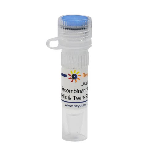 Recombinant Active Human COX1 (His & Twin-Strep-Tag)   P2530