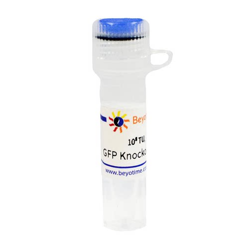 GFP Knockout Lentivirus  碧云天 L00017